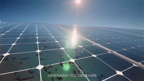 施工三维动画演示案例《光伏发电桩基施工》